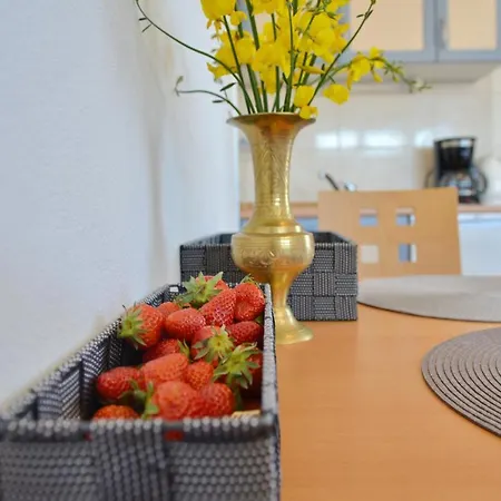 Apartment Nadica *